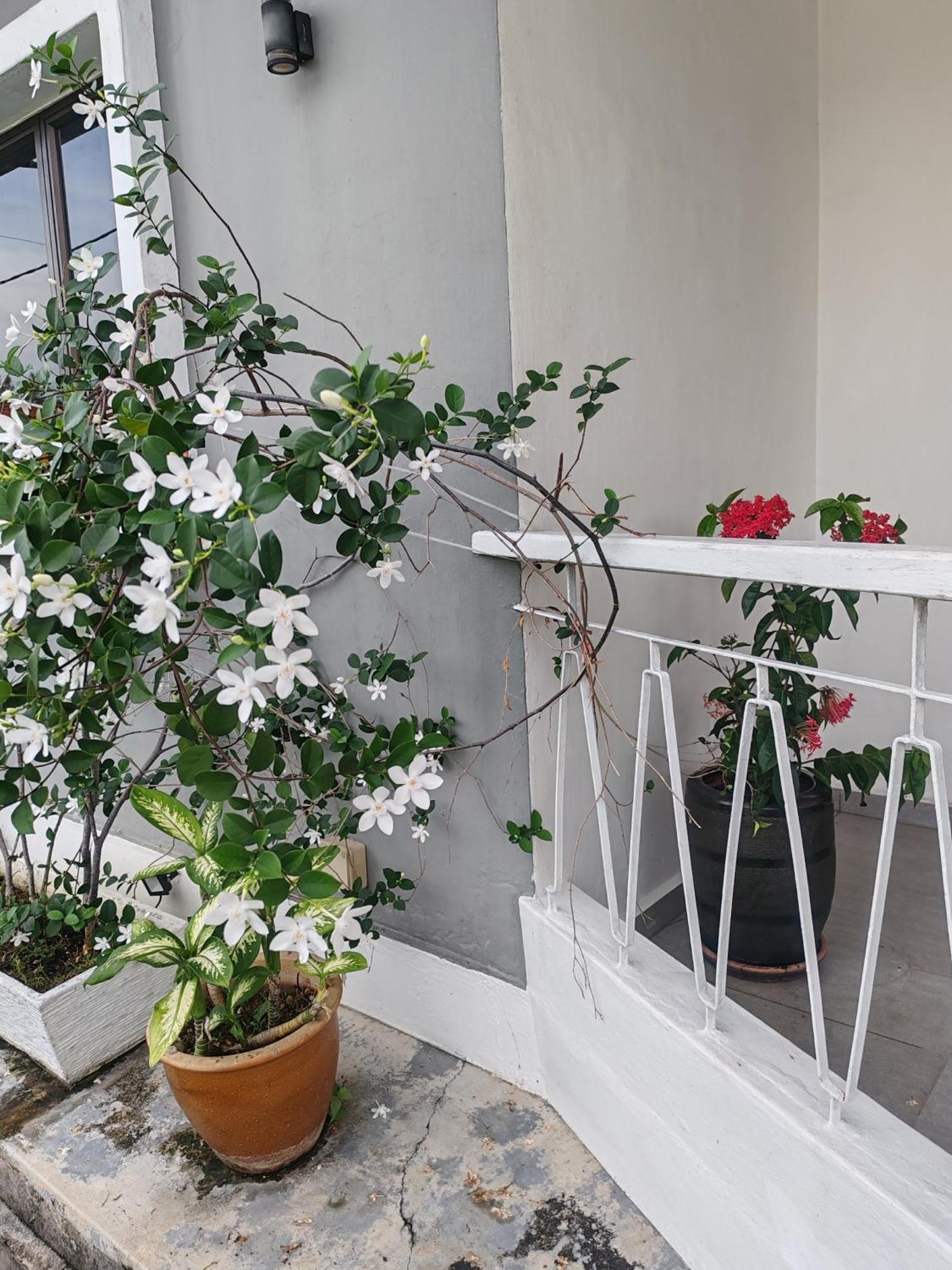 Melaka Beach Villa Kelebang Besar Ngoại thất bức ảnh