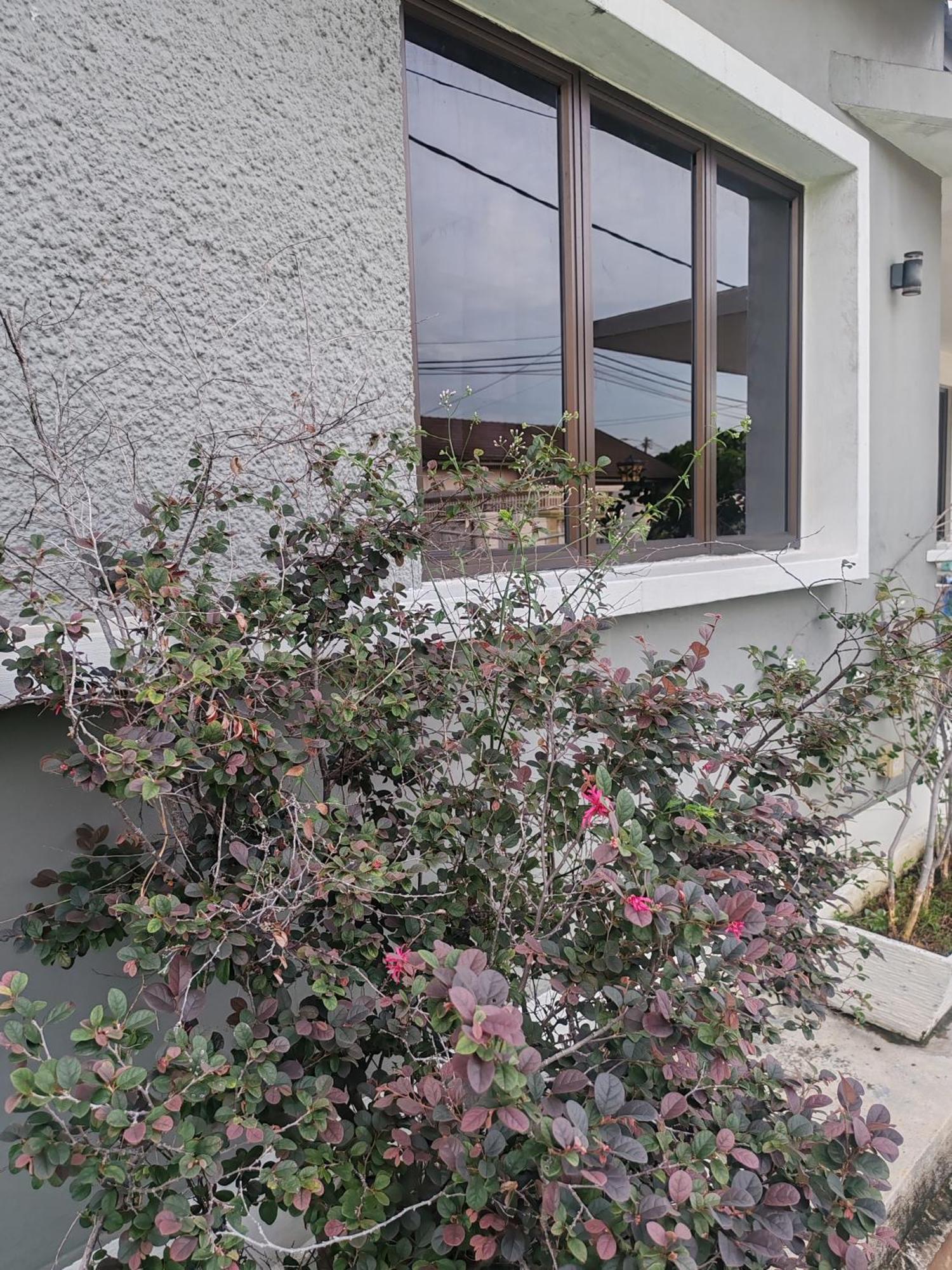 Melaka Beach Villa Kelebang Besar Ngoại thất bức ảnh